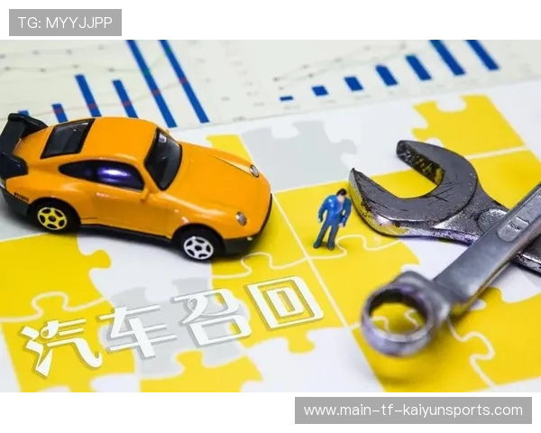 大规模召回会否成为行业成本新常态？，大规模召回会否成为行业成本新常态